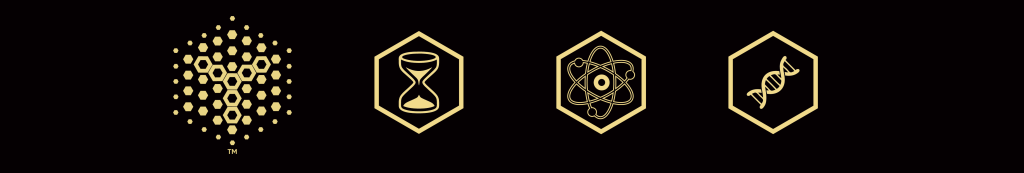 Two gold hexagons with a black background