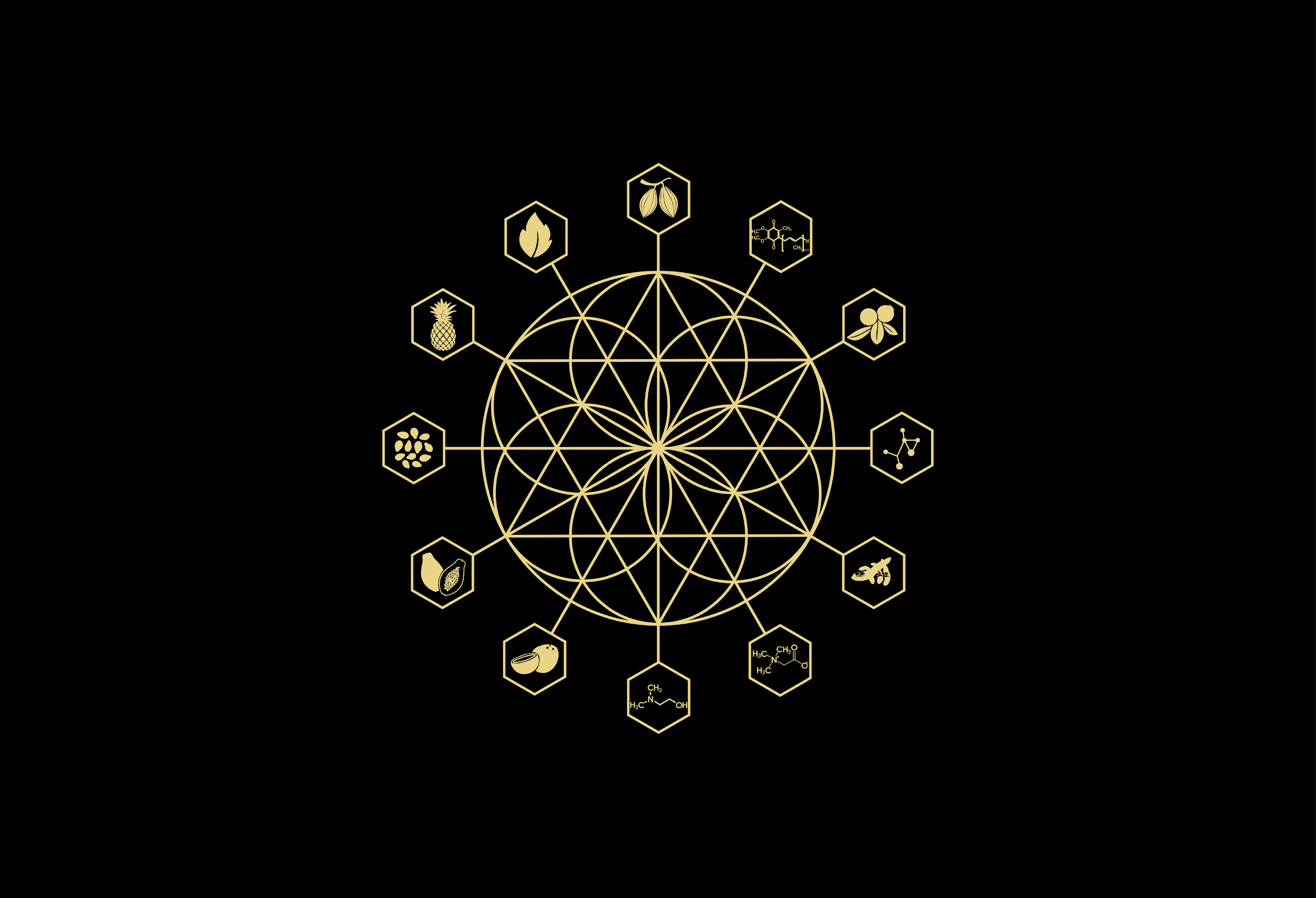 A gold colored symbol of the twelve zodiac signs.