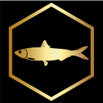 A gold fish in the middle of a hexagon.